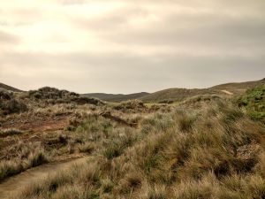 Cape Wickham 8th Tips